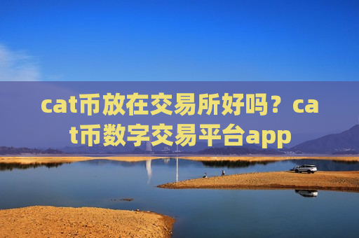 cat币放在交易所好吗？cat币数字交易平台app