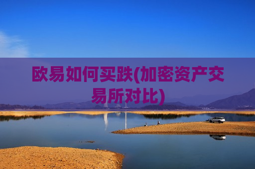 欧易如何买跌(加密资产交易所对比)