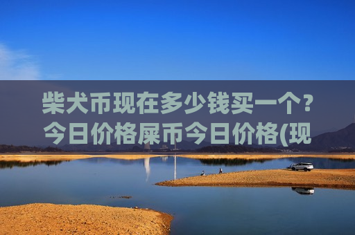 柴犬币现在多少钱买一个？今日价格屎币今日价格(现价0.00019977元)