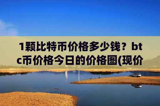 1颗比特币价格多少钱？btc币价格今日的价格图(现价745197.1元)