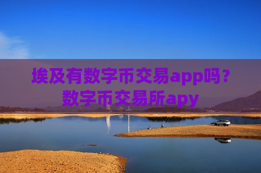 埃及有数字币交易app吗？数字币交易所apy