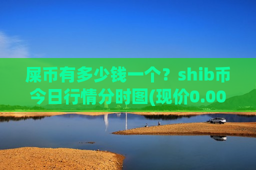 屎币有多少钱一个？shib币今日行情分时图(现价0.00019761元)