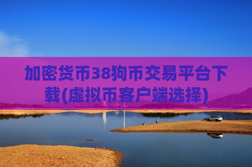 加密货币38狗币交易平台下载(虚拟币客户端选择)