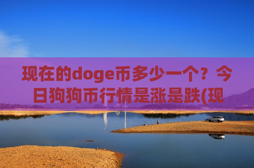 现在的doge币多少一个？今日狗狗币行情是涨是跌(现价2.9139元)