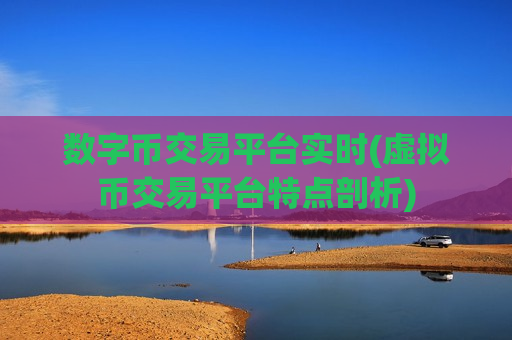 数字币交易平台实时(虚拟币交易平台特点剖析)