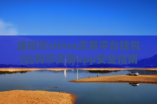 虚拟币china交易平台钱包(比特币交易app安全指南)