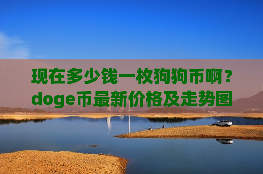 现在多少钱一枚狗狗币啊？doge币最新价格及走势图(现价2.9087元)