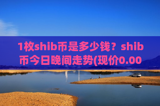 1枚shib币是多少钱？shib币今日晚间走势(现价0.0001955元)