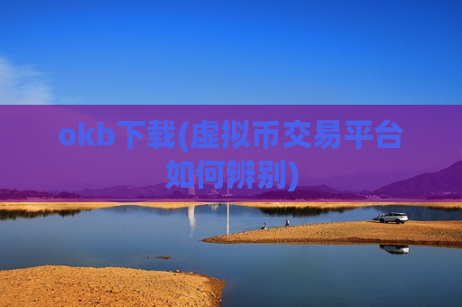 okb下载(虚拟币交易平台如何辨别)