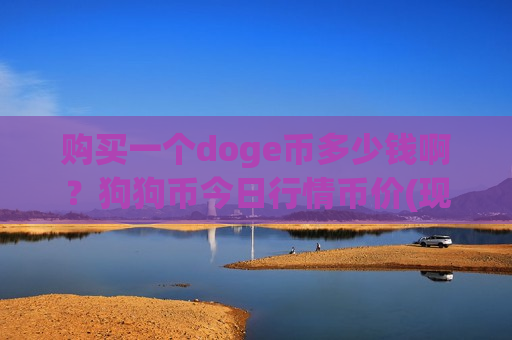 购买一个doge币多少钱啊？狗狗币今日行情币价(现价2.905元)