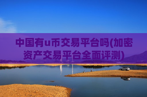中国有u币交易平台吗(加密资产交易平台全面评测)