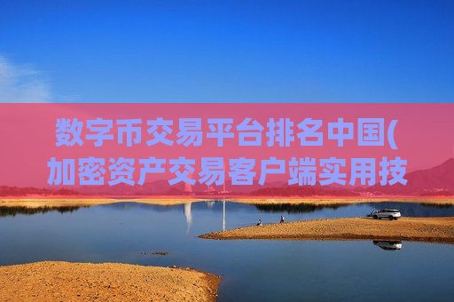 数字币交易平台排名中国(加密资产交易客户端实用技巧分享)