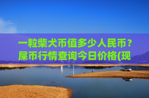 一粒柴犬币值多少人民币?屎币行情查询今日价格(现价0.00020648元)-第1张图片-币圈网 一粒柴犬币值多少人民币?屎币行情查询今日价格(现价0.00020648元)-第1张图片-币圈网