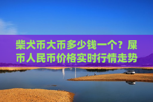 柴犬币大币多少钱一个?屎币人民币价格实时行情走势(现价0.00020677元)-第1张图片-币圈网 柴犬币大币多少钱一个?屎币人民币价格实时行情走势(现价0.00020677元)-第1张图片-币圈网