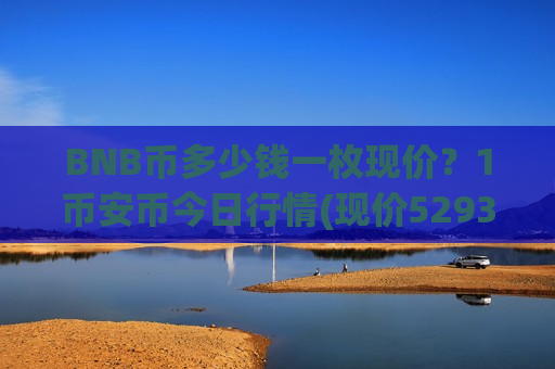 BNB币多少钱一枚现价？1币安币今日行情(现价5293.15元)-第1张图片-币圈网