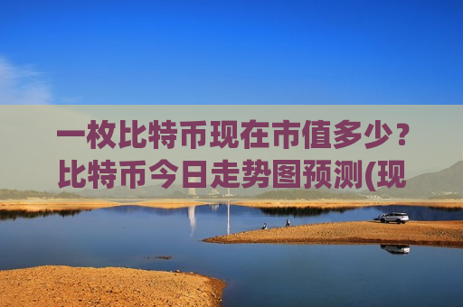 一枚比特币现在市值多少？比特币今日走势图预测(现价739704.74元)-第1张图片-币圈网