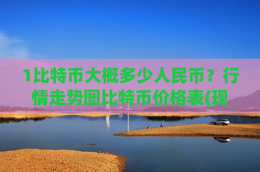 1比特币大概多少人民币？行情走势图比特币价格表(现价739606.63元)-第1张图片-币圈网
