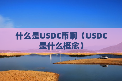 什么是USDC币啊（USDC是什么概念）-第1张图片-币圈网