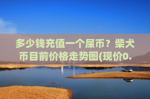 多少钱充值一个屎币?柴犬币目前价格走势图(现价0.00020728元)-第1张图片-币圈网 多少钱充值一个屎币?柴犬币目前价格走势图(现价0.00020728元)-第1张图片-币圈网