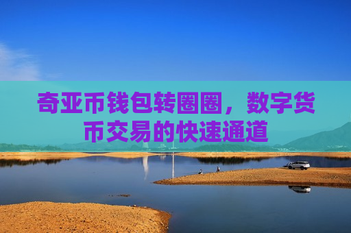奇亚币钱包转圈圈，数字货币交易的快速通道-第1张图片-币圈网