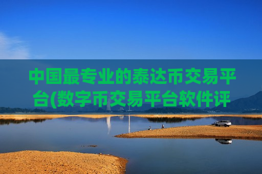 中国最专业的泰达币交易平台(数字币交易平台软件评测)-第1张图片-币圈网