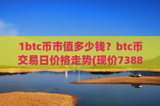 1btc币市值多少钱？btc币交易日价格走势(现价738879.12元)-第1张图片-币圈网