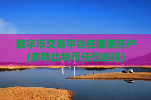 数字币交易平台在哪里开户(多种比特币任你选择)-第1张图片-币圈网 数字币交易平台在哪里开户(多种比特币任你选择)-第1张图片-币圈网