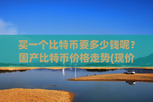 买一个比特币要多少钱呢?国产比特币价格走势(现价740700.21元)-第1张图片-币圈网 买一个比特币要多少钱呢?国产比特币价格走势(现价740700.21元)-第1张图片-币圈网
