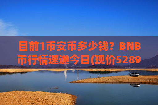 目前1币安币多少钱?BNB币行情速递今日(现价5289.73元)-第1张图片-币圈网 目前1币安币多少钱?BNB币行情速递今日(现价5289.73元)-第1张图片-币圈网