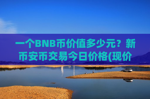 一个BNB币价值多少元？新币安币交易今日价格(现价5289.94元)-第1张图片-币圈网