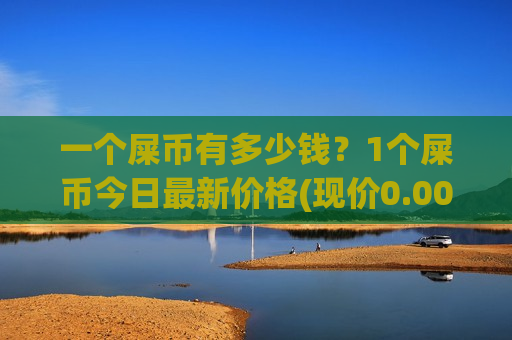 一个屎币有多少钱？1个屎币今日最新价格(现价0.00023216元)-第1张图片-币圈网