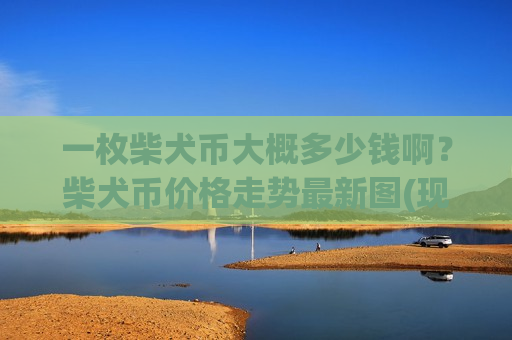 一枚柴犬币大概多少钱啊?柴犬币价格走势最新图(现价0.00020663元)-第1张图片-币圈网 一枚柴犬币大概多少钱啊?柴犬币价格走势最新图(现价0.00020663元)-第1张图片-币圈网