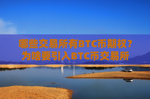 哪些交易所有BTC币期权？为啥要引入BTC币交易所-第1张图片-币圈网