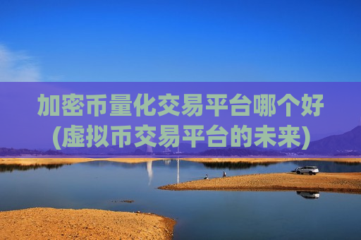 加密币量化交易平台哪个好(虚拟币交易平台的未来)-第1张图片-币圈网