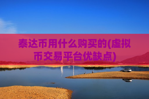 泰达币用什么购买的(虚拟币交易平台优缺点)-第1张图片-币圈网
