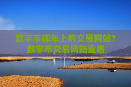 数字币哪年上的交易网站?数字币交易网站重启-第1张图片-币圈网 数字币哪年上的交易网站?数字币交易网站重启-第1张图片-币圈网