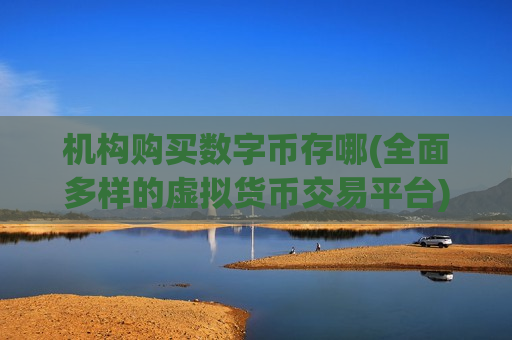 机构购买数字币存哪(全面多样的虚拟货币交易平台)