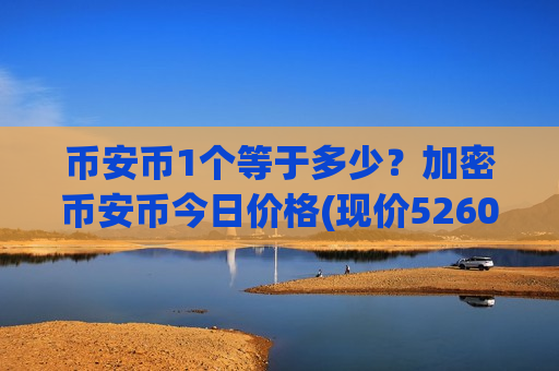 币安币1个等于多少？加密币安币今日价格(现价5260.42元)-第1张图片-币圈网