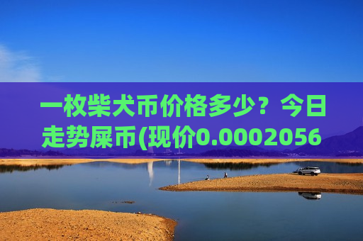 一枚柴犬币价格多少？今日走势屎币(现价0.00020568元)-第1张图片-币圈网