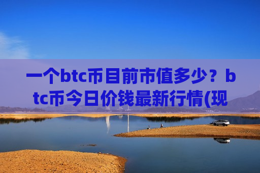 一个btc币目前市值多少？btc币今日价钱最新行情(现价737208.33元)-第1张图片-币圈网