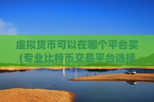 虚拟货币可以在哪个平台买(专业比特币交易平台选择)