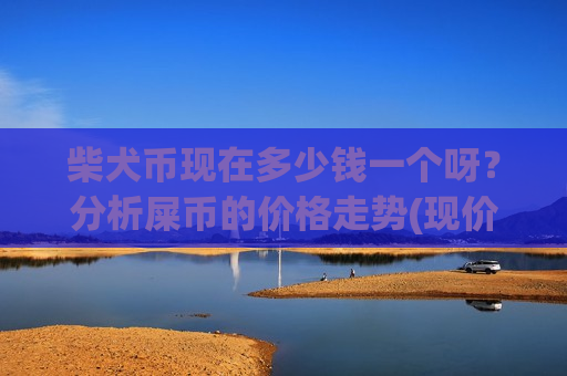 柴犬币现在多少钱一个呀？分析屎币的价格走势(现价0.00020332元)-第1张图片-币圈网