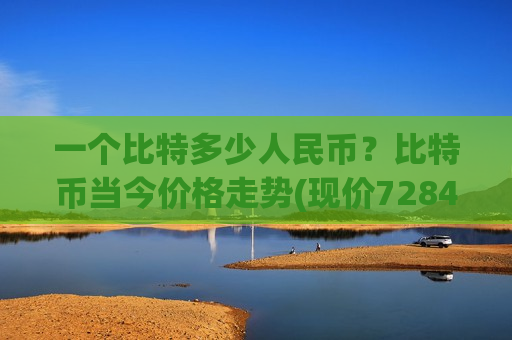 一个比特多少人民币？比特币当今价格走势(现价728435.44元)-第1张图片-币圈网