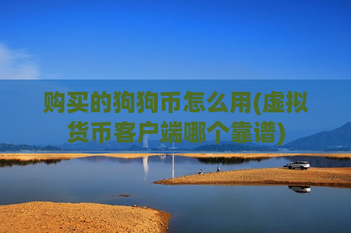 购买的狗狗币怎么用(虚拟货币客户端哪个靠谱)-第1张图片-币圈网