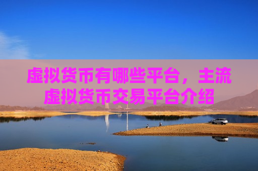 虚拟货币有哪些平台，主流虚拟货币交易平台介绍-第1张图片-币圈网
