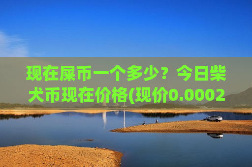 现在屎币一个多少？今日柴犬币现在价格(现价0.00020871元)-第1张图片-币圈网