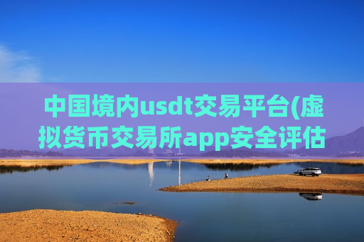 中国境内usdt交易平台(虚拟货币交易所app安全评估)-第1张图片-币圈网
