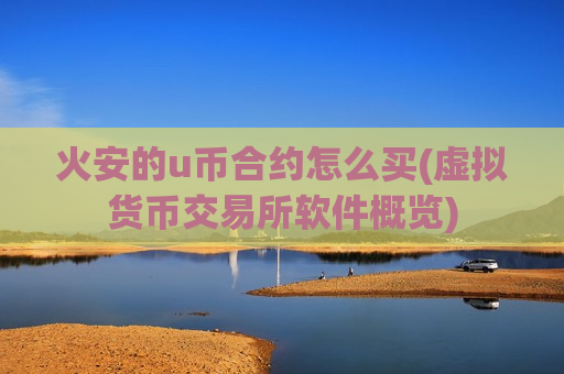火安的u币合约怎么买(虚拟货币交易所软件概览)