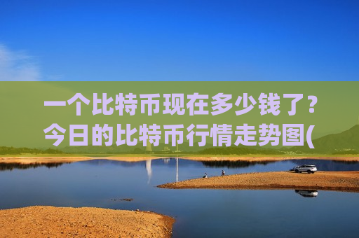 一个比特币现在多少钱了？今日的比特币行情走势图(现价738813.93元)-第1张图片-币圈网