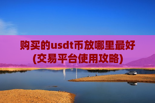 购买的usdt币放哪里最好(交易平台使用攻略)-第1张图片-币圈网
